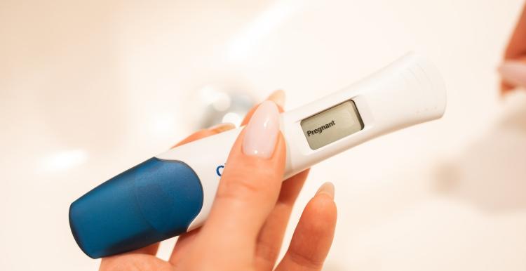 A pregnancy test 