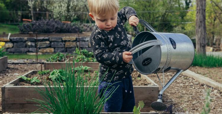 A young boy watering plants outdoors